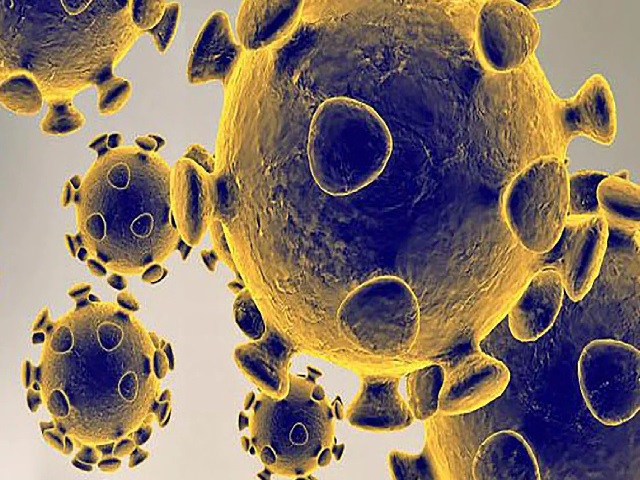 New Coronavirus Strain with 10-times the infection rate detected in Malaysia, Get Details Here